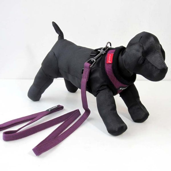 Puppia Purple Harness