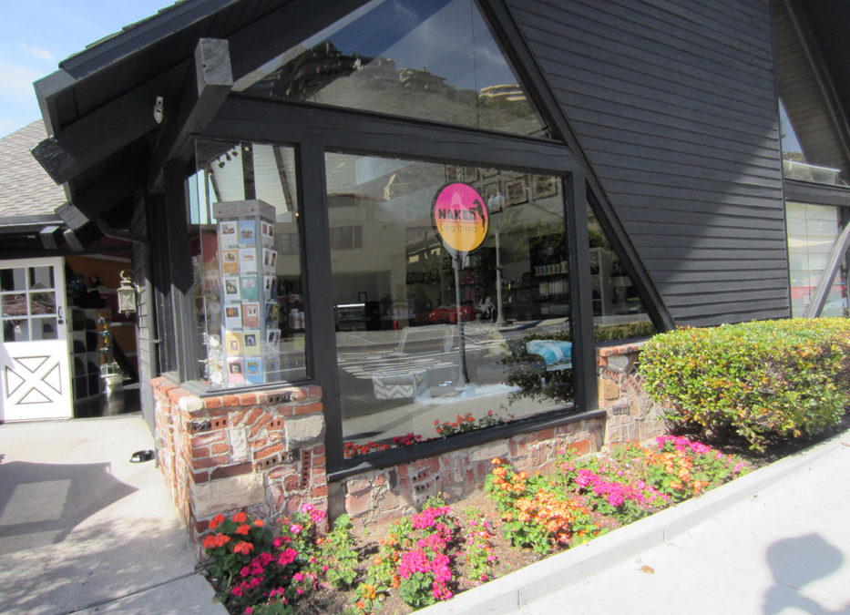 5 Reasons To Visit Our Pet Store In Laguna Beach