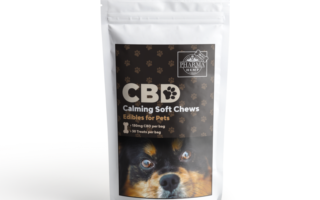 Dog Anxiety Remedies: CBD For Dogs & Other Options To Try