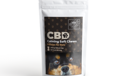 Dog Anxiety Remedies: CBD For Dogs & Other Options To Try
